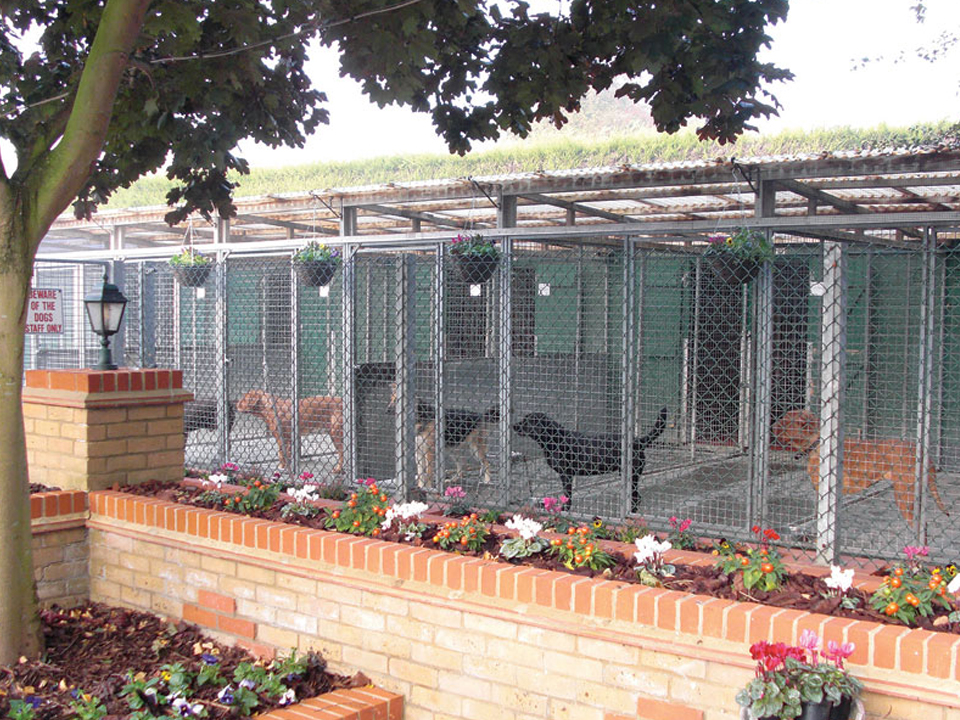 Imberpark Boarding Kennels & Cattery Gallery